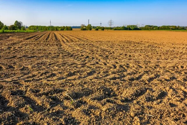 Regolarizzazione delle terre civiche a Bernalda